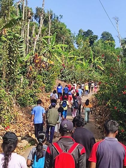 A view from behind as a group of campers treks up a hill, surrounded by the dense forests of Barapole.