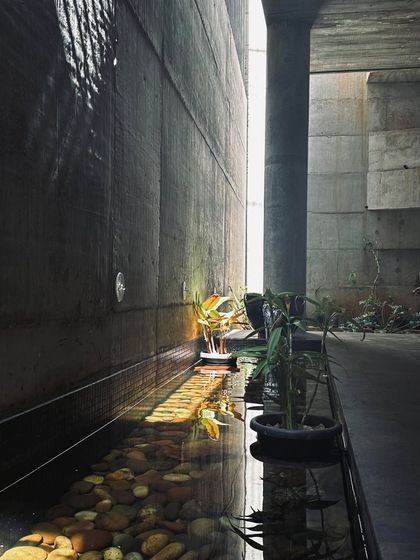 Maya Architects - Hospitality Architecture & Interior Design The Art of Space: Light & Form photo 4