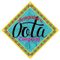 Bengaluru Oota Company