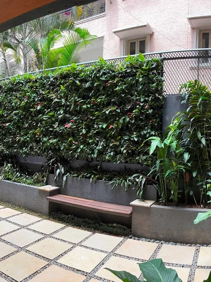 Here's a look at a completed green wall in a residential project. It serves as a beautiful, living backdrop for the outdoor seating area, providing both privacy and a sense of tranquility.
