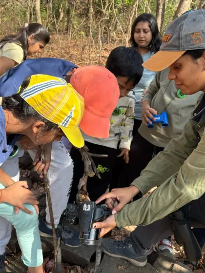 Our expert naturalists are always there to point out hidden wonders, like this one during our Mother's Day forest trail. Learning happens at every step of the journey.