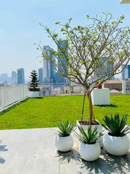 A rooftop lawn provides a surprising patch of green high above the city. This is achieved using specialized drainage and lightweight soil systems, perfect for urban environments.