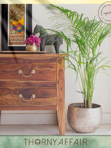 Thorny Affair - Pots & Planters Handcrafted Metal Planters photo 33