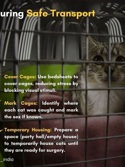 Cupa - Spay/Neuter & Animal Birth Control A Guide for Community Caregivers photo 11