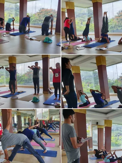 You will learn by doing. This collage shows the hands-on approach of my teacher training course, covering a wide range of asanas from foundational poses to advanced inversions like Sirsasana. We focus on practical application from day one.