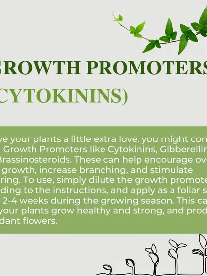 To give your plants a little extra love, consider using Growth Promoters like Cytokinins. These can help encourage overall plant growth, increase branching, and stimulate flowering for a healthier, more abundant garden.