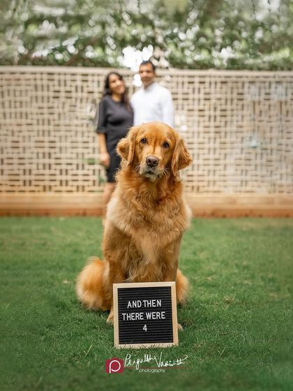 Pragalbh - Fine Art Pet Photography Family & Me photo 13