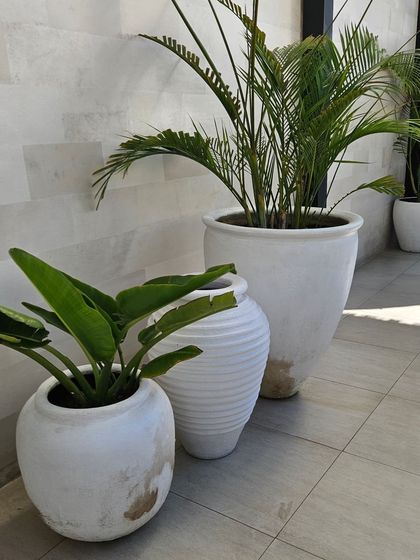 Simple, elegant white planters add a clean and modern touch to this walkway, complementing the light-colored wall and floor tiles.