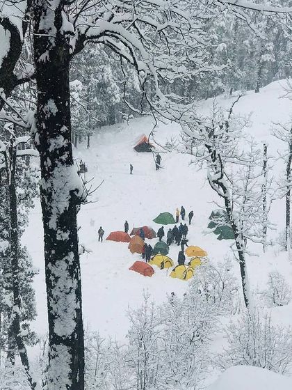 An aerial view of a large group campsite in a snowy valley, seen through the trees. This shows a community of adventurers sharing the unique experience of a winter expedition.
