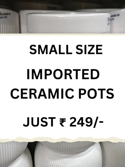 We offer great value on our small imported ceramic pots. This image highlights our offer for these versatile planters, perfect for starting your indoor garden.