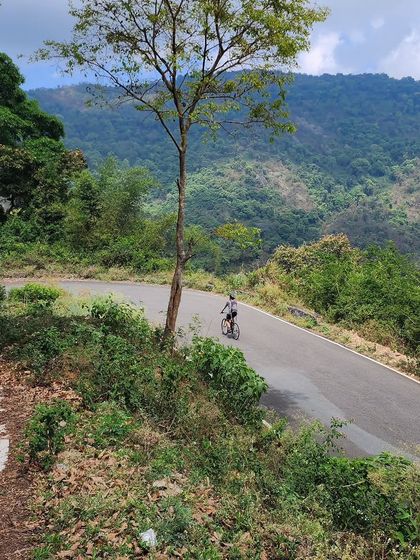A cyclist navigates a hairpin bend on a beautiful back-country road in Kodaikanal. We specialize in finding these hidden gems, offering a riding experience far from the usual tourist trails.