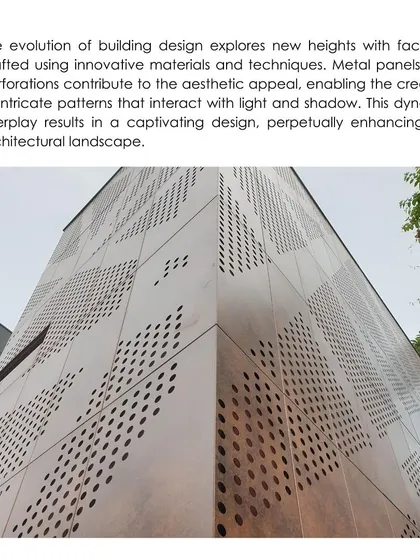 This image illustrates how metal panels and perforations can contribute to the aesthetic appeal of a facade. The dynamic interplay of light and shadow through the perforations results in a captivating design.