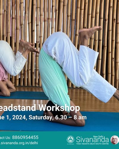 Specialized Yoga Workshops