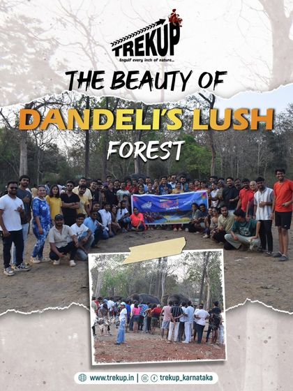 The group for our Holi event posing in the lush forest of Dandeli before the celebrations began.