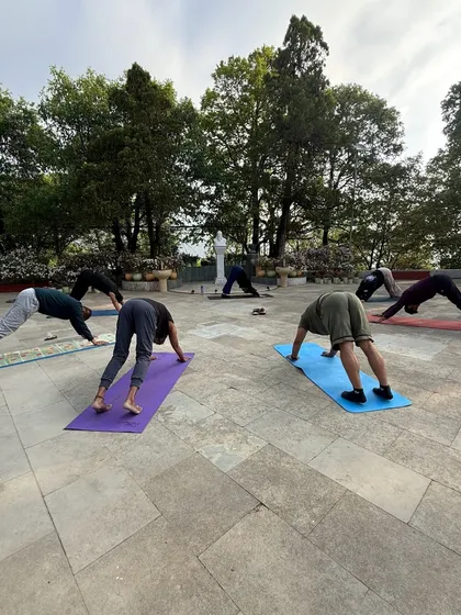 A group of yogis in Adho Mukha Svanasana (Downward-Facing Dog) on our retreat. The fresh mountain air and stunning views make every asana feel more expansive and rejuvenating.