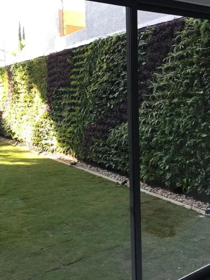 A full view of the vertical garden next to a lawn, showing how it can define an outdoor space and add a strong element of green.