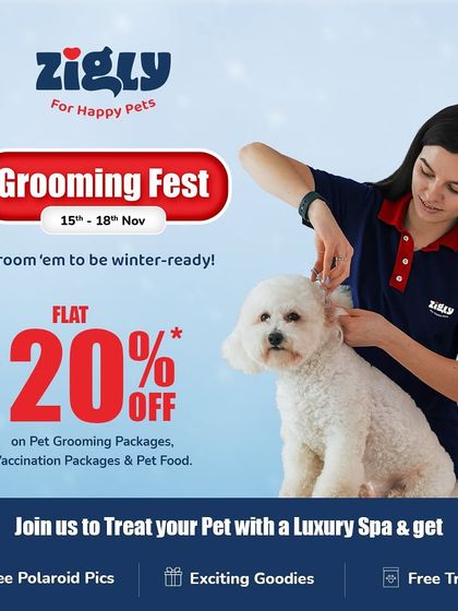 Zigly - Veterinary Services Events & Special Offers photo 7