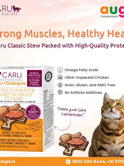 Augie Pets - Pet Supplies For Our Feline Friends: Premium Cat Nutrition photo 47