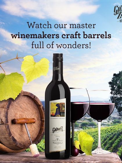 On our vineyard tours, you can witness our master winemakers crafting barrels full of wonders. It is a chance to understand the journey from grape to glass and discover the impressive lineage behind your favorite varietals.