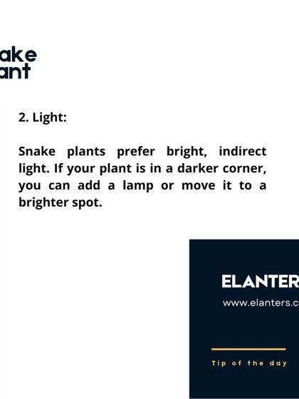 Plant Care Tips & Supplies photo 18