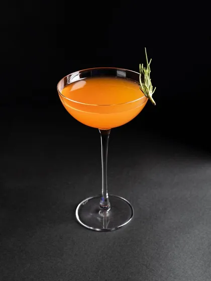 A simple, elegant shot of the orange cocktail against a black background. This minimalist approach highlights the beautiful shape of the glass and the vibrant colour of the drink.