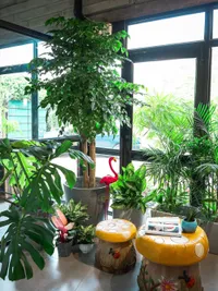Plant & Gardening Supply Retail