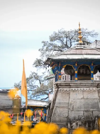 A wider view of the Triyuginarayan temple, framed by yellow wildflowers, capturing the serene and spiritual atmosphere of the wedding location.