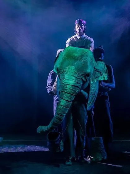 A powerful moment from 'The Vanishing Elephant', a theatrical production I was privileged to be a part of. This show, which made it to Broadway, blended puppetry, music, and storytelling to explore the rights of all living beings.