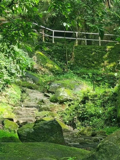 Stone steps covered in moss leading through a lush forest in Wayanad. Our treks take you through these enchanting paths.