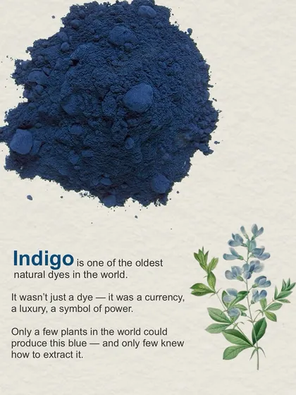 Indigo is one of the oldest natural dyes in the world. It wasn't just a dye; it was a currency, a luxury, and a symbol of power. Our Chaaya collection celebrates this rich history.