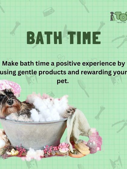 Tails of the City - Pet Spa & Creative Styling Health & Wellness Grooming photo 8