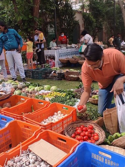 A customer carefully selecting a tomato, embodying the thoughtful shopping experience.