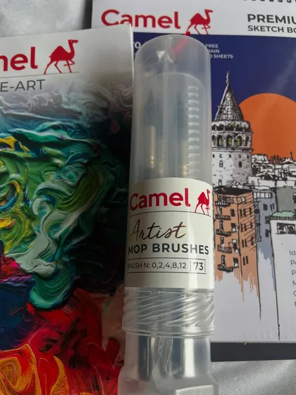 Artists love buying art materials, no matter how many we already have! Here are some of my recent purchases, including Camel artist mop brushes.