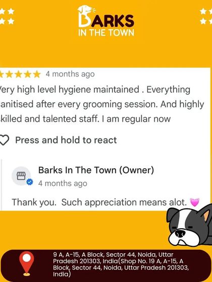 "Very high level hygiene maintained." This review emphasizes our commitment to sanitizing everything after each grooming session and our skilled, talented staff.