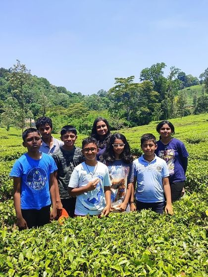 A group of friends poses for a photo amidst the bright green tea leaves at our Barapole camp.