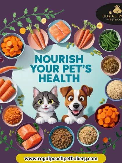 Your pet's health is my top priority. I use only fresh, natural, and vet-approved ingredients like salmon, carrots, and lentils to nourish your pet from the inside out.