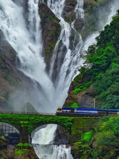 A classic shot of the blue passenger train crossing the moss-covered bridge in front of Dudhsagar Falls, a dream for many photographers.