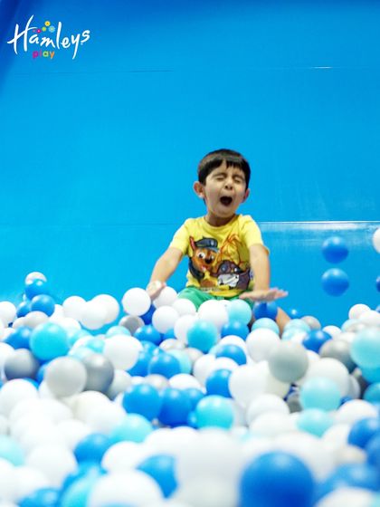Slides & Ball Pits of Fun photo 5