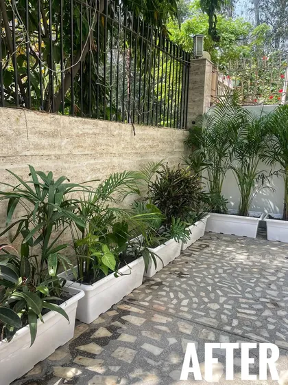 After: Another angle of the Noida courtyard transformation. You can see how we used a mix of shade-loving plants in white recycled plastic pots to brighten up the area against the boundary wall.