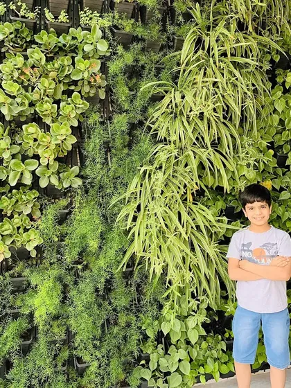Bringing greenery and smiles to homes. This beautiful living wall is thriving and creates a healthy, happy environment for the whole family.