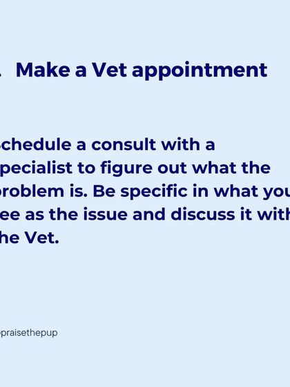 If you suspect your dog is in pain, the first step is always to make a vet appointment. Be specific about the changes you've observed to help your vet make an accurate diagnosis.