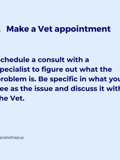 If you suspect your dog is in pain, the first step is always to make a vet appointment. Be specific about the changes you've observed to help your vet make an accurate diagnosis.