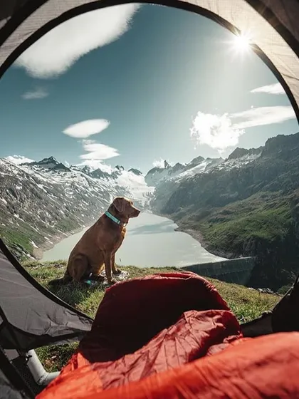 Your best friend deserves an adventure too. Many of my handpicked locations are pet-friendly, offering wide-open spaces for them to explore. This is the view from a tent, with a happy companion enjoying the magnificent alpine lake scenery.