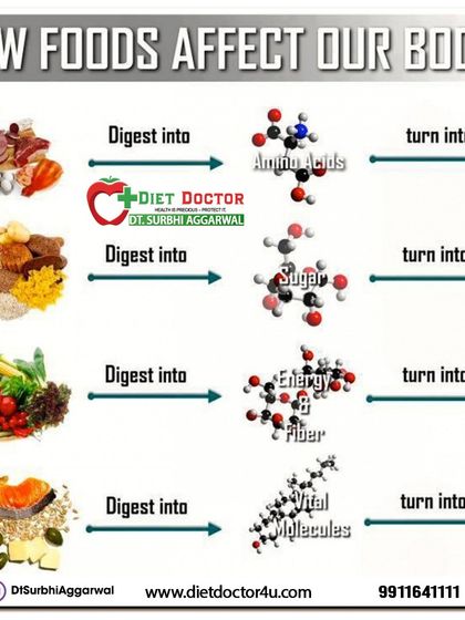 Ever wonder how food affects your body? This chart breaks it down, showing how proteins, carbs, and fats are digested and turned into the building blocks and energy your body needs to function.