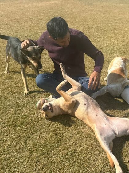 There's always time for belly rubs. Our hands-on approach ensures every dog gets the personal attention they deserve.