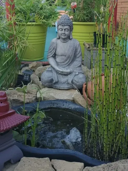 I incorporated a small, bubbling water feature into this Zen garden design. The combination of the Buddha statue, water, rocks, and plants creates a harmonious and peaceful corner.
