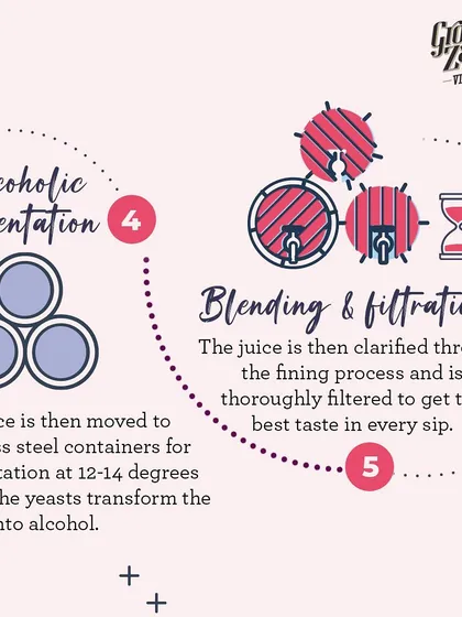 The juice is then moved to stainless steel containers for a cool fermentation, where yeast transforms sugar into alcohol. Afterwards, it is clarified through fining and filtration to ensure the best taste.