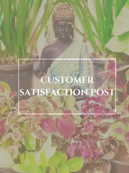 A happy customer makes our day. This image, featuring a serene Buddha statue surrounded by vibrant Coleus and other foliage, represents our ultimate goal: creating a space that brings you satisfaction and peace.