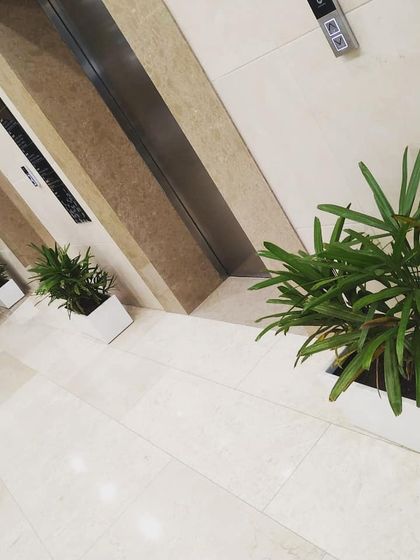 Morning Dews Landscapes - Interior Landscaping & Green Walls Planters for Commercial Spaces photo 8