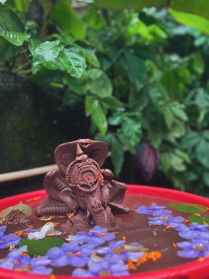 The final step: a gentle and eco-friendly immersion. This clay Ganesha, adorned with a cobra, dissolves back into the earth in a bucket of water and flowers.
